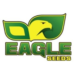 Eagle Seeds